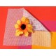 Tissu HFshield –30dB NewDayLite Swiss Shield®